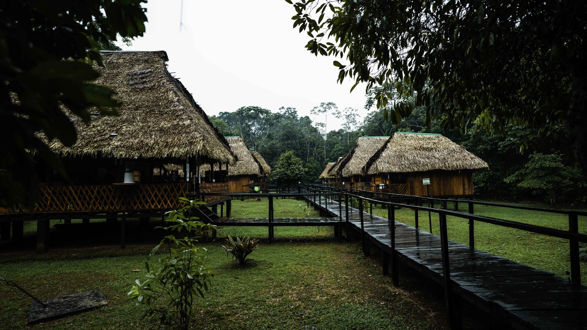 Wellness Area