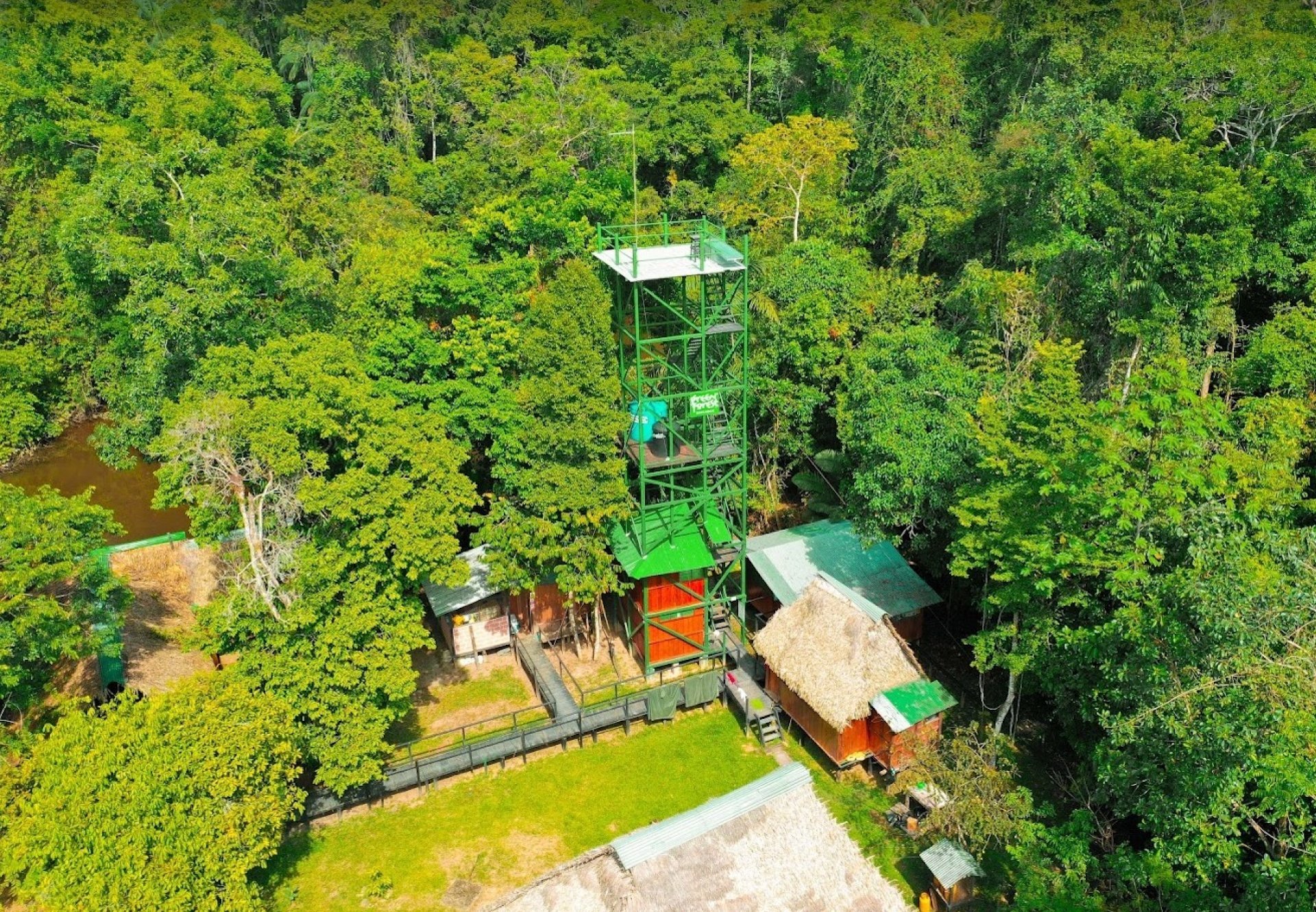 Avistamiento de aves en Cuyabeno