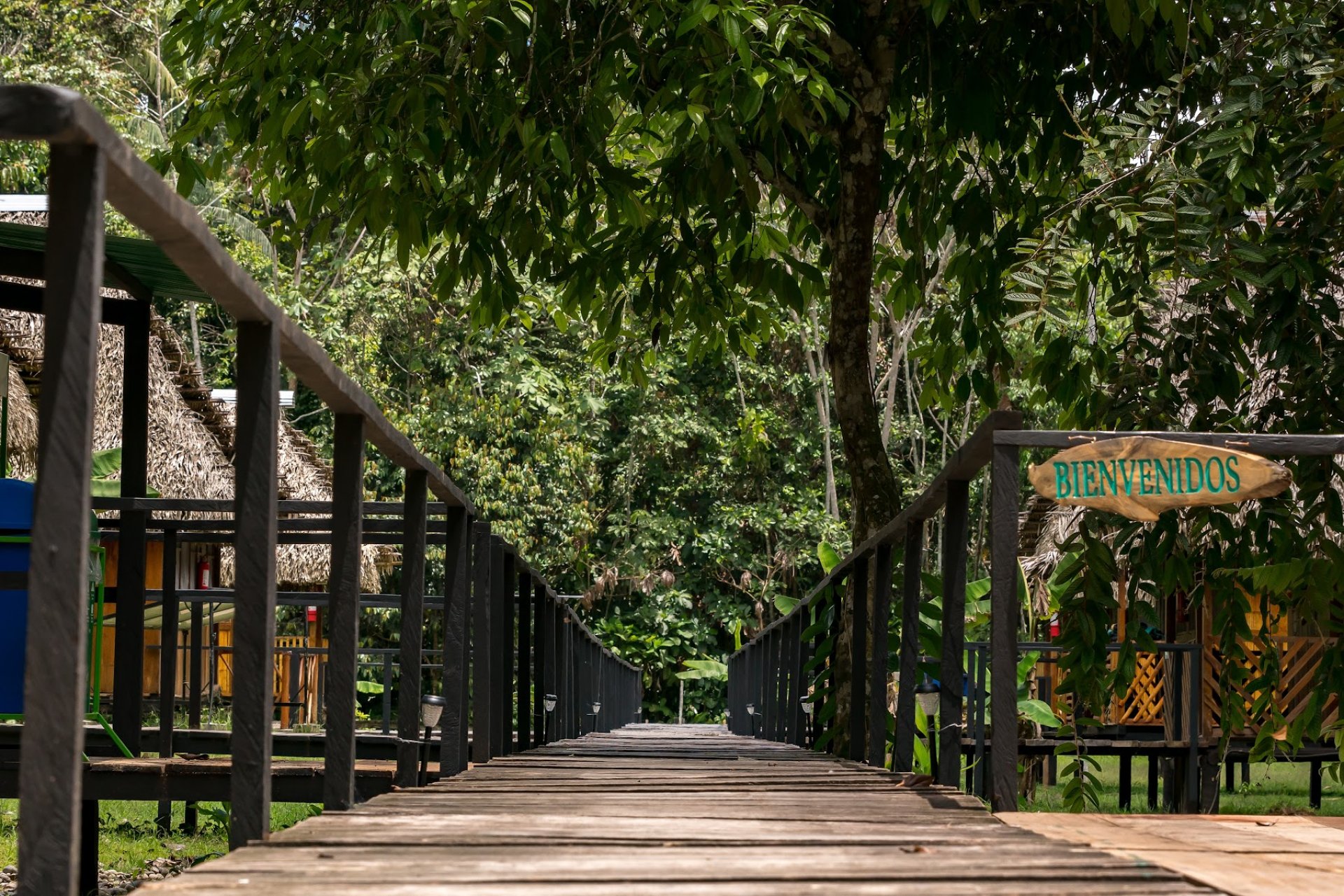 Your Amazon Jungle Ecolodge